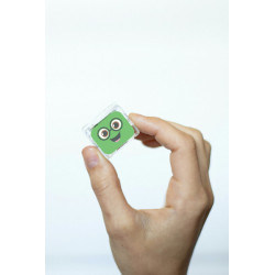 PIPPA CUBES GREEN